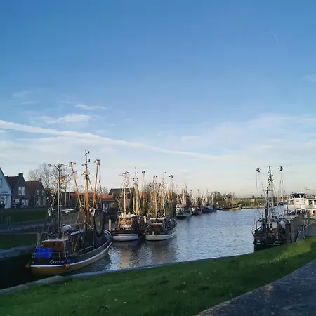 Fewo Spiekeroog Auf Dem Elisenhof Hagermarsch *